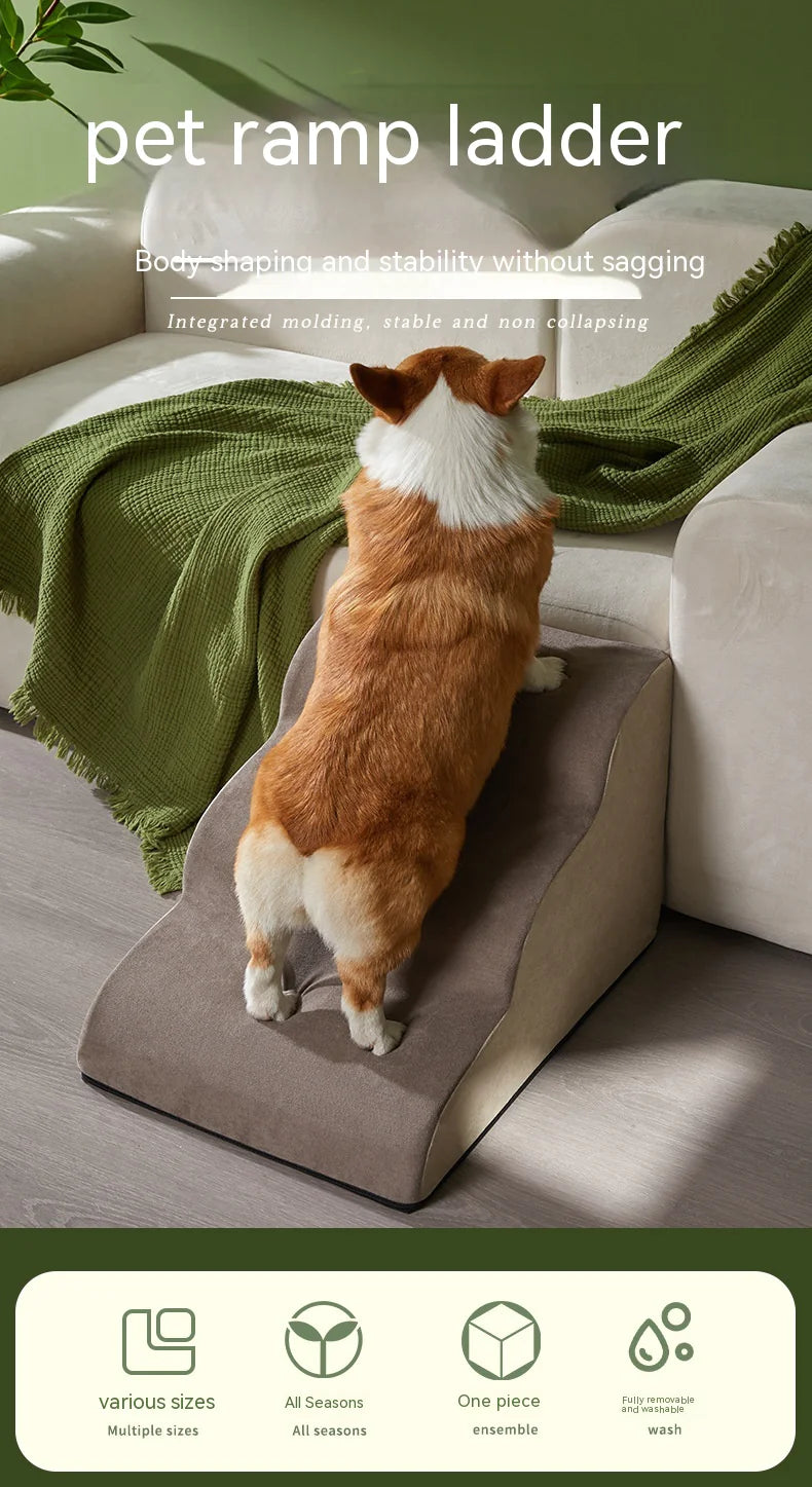 Échelle Inclinée pour Chien