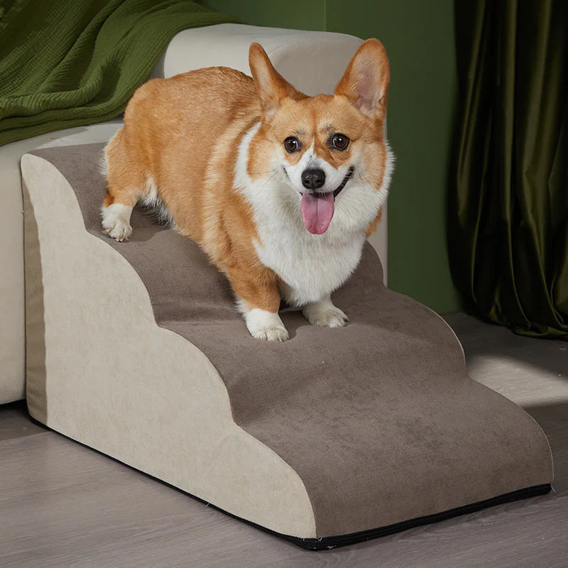 Échelle Inclinée pour Chien