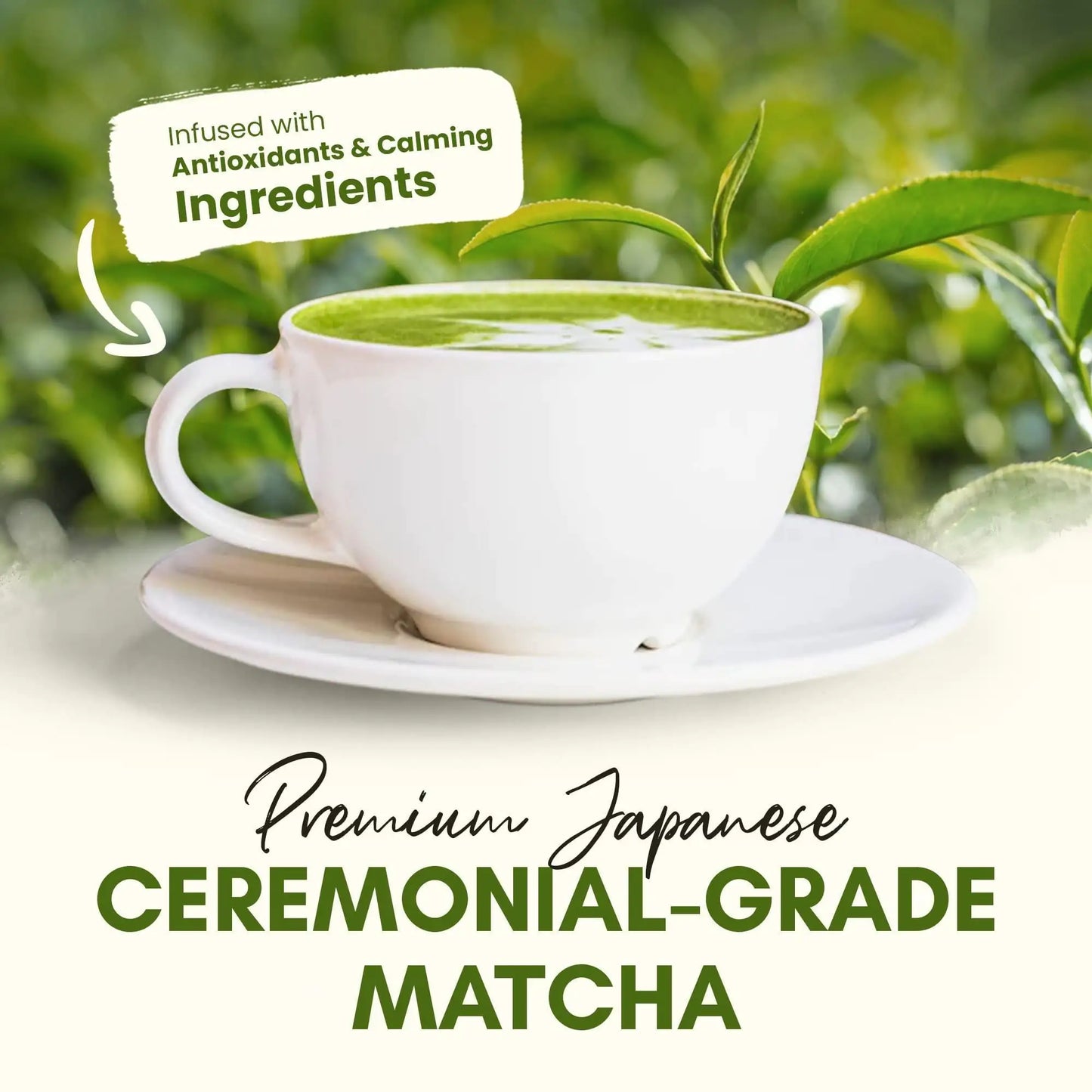 Matcha Bio – Thé Japonais Premium à la Vanille & Ashwagandha (133 g)