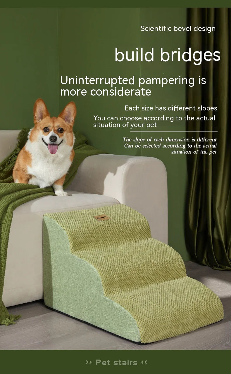 Échelle Inclinée pour Chien