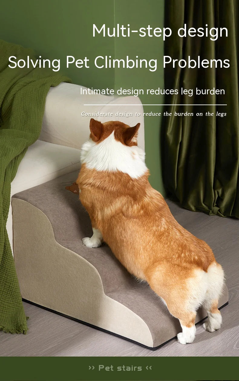 Échelle Inclinée pour Chien