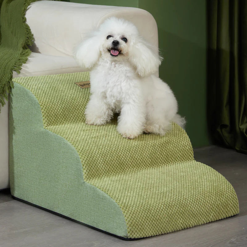 Échelle Inclinée pour Chien