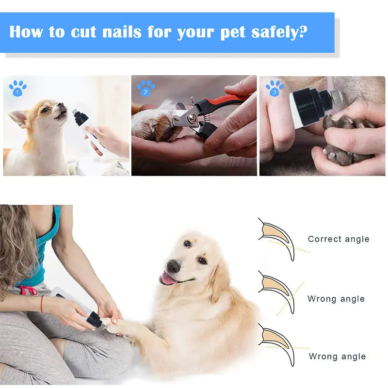 Tondeuse Électrique pour Ongles de Chien