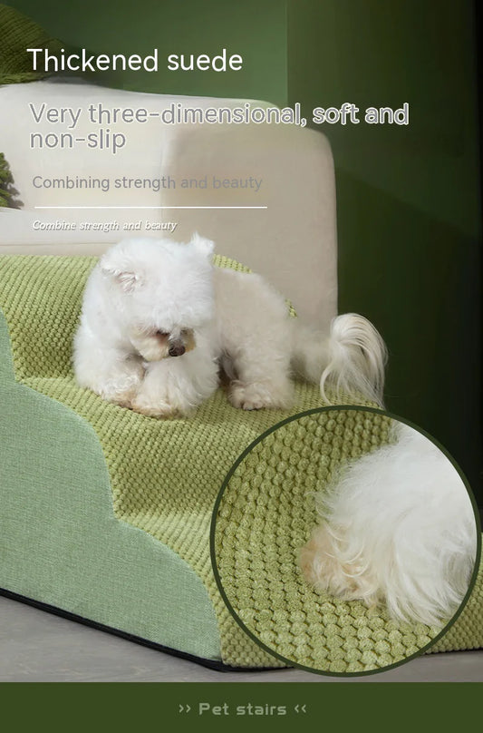 Échelle Inclinée pour Chien